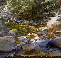 Washpool Walking Track - Accommodation Broome