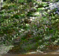 Way Way Creek Road Drive - Accommodation Broome