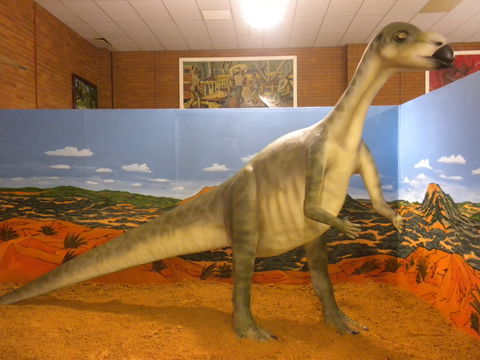 Wentworth Pioneer Museum - Accommodation Broome 1