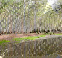 Wonga Wetlands - Accommodation Broome