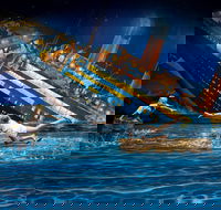 ArtVo Illusions - Accommodation Broome