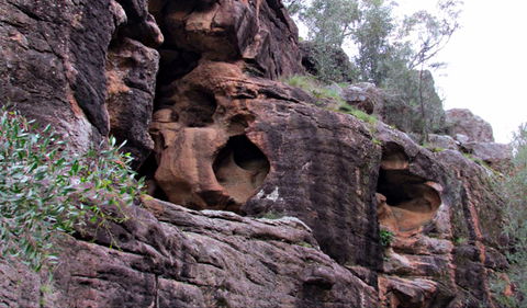 Bertha's Gully Walking Track - Accommodation Broome 0