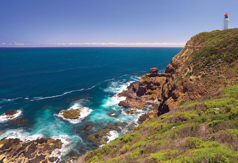 Bushrangers Bay Walking Track - Accommodation Broome 0