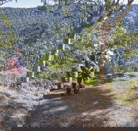 Caves circuit Lamington National Park - Accommodation Broome