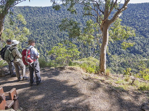 Caves Circuit, Lamington National Park - Accommodation Broome 0