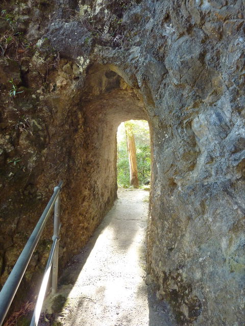 Caves Circuit, Lamington National Park - Accommodation Broome 1