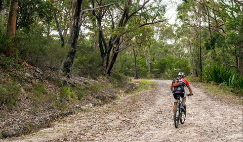 Cawleys Road Trail - Accommodation Broome 0