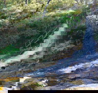 Charles Darwin walk - Accommodation Broome