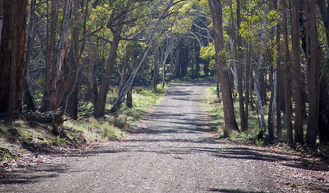Coolah Tops National Park - Accommodation Broome 0