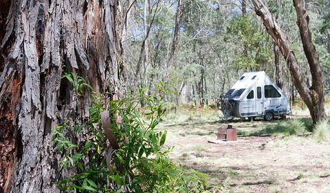Coolah Tops National Park - Accommodation Broome 2