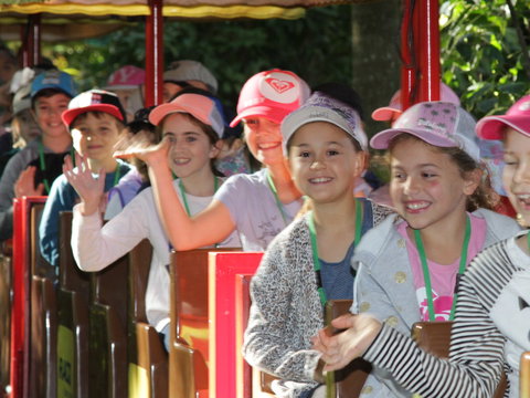 Currumbin Wildlife Sanctuary - Accommodation Broome 1