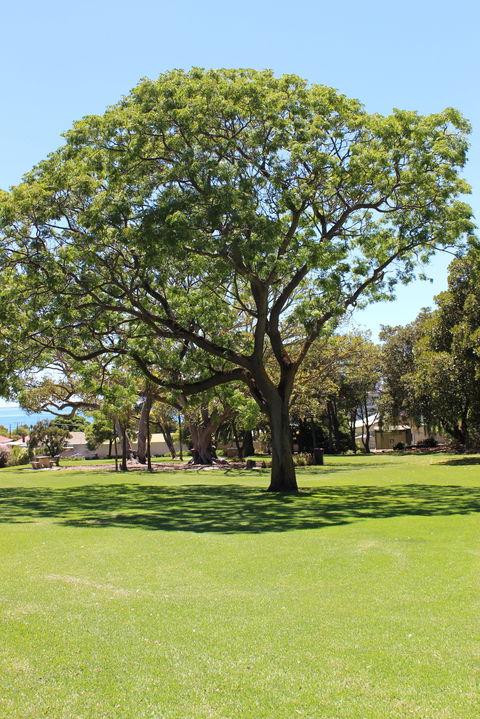 Flinders Park Playground - Accommodation Broome 0