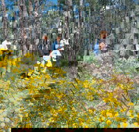 Gidgegannup - Accommodation Broome