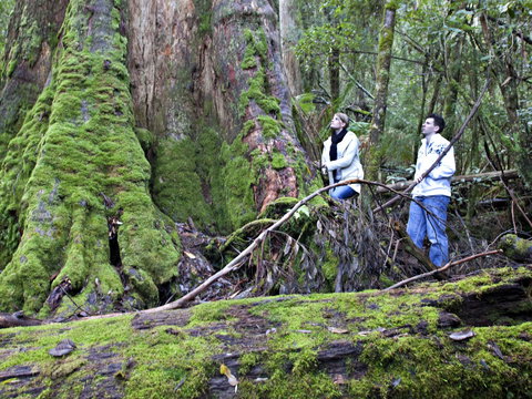 Hastings Caves And Thermal Springs - Accommodation Broome 2