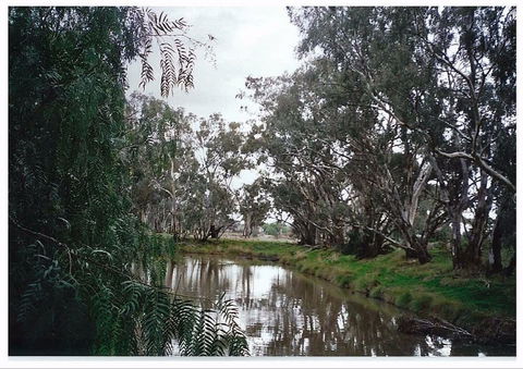 Henty Government Dam Nature Reserve - Accommodation Broome 0