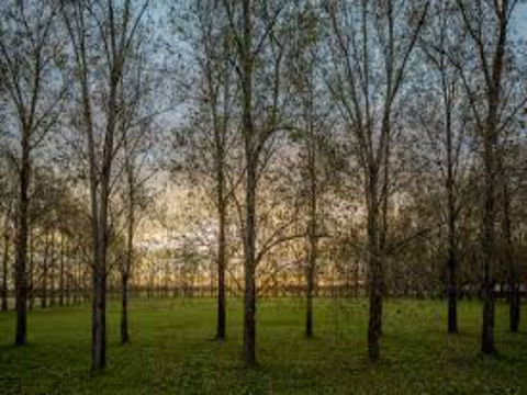 John Tucker Park - Accommodation Broome 1