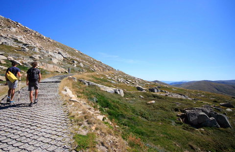 Kosciuszko Walk - Thredbo To Mount Kosciuszko - Accommodation Broome 0