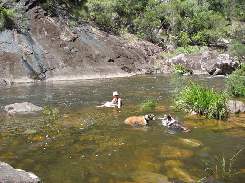 Mount Boss State Forest - Accommodation Broome 0