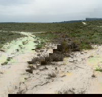 Ngarkat Conservation Park - Accommodation Broome