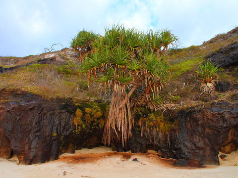 One Man Bluff - Accommodation Broome 2