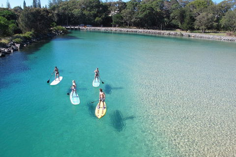 Paddleboard At Back Creek South West Rocks - Accommodation Broome 0
