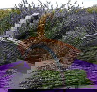 Rustique Lavender Farm - Accommodation Broome