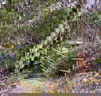 Sawpit Walking Track - Accommodation Broome