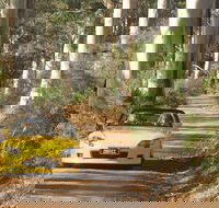 Scotsdale Tourist Drive - Accommodation Broome