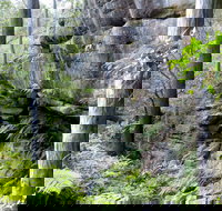 She-Oak Crossing Walk - Accommodation Broome