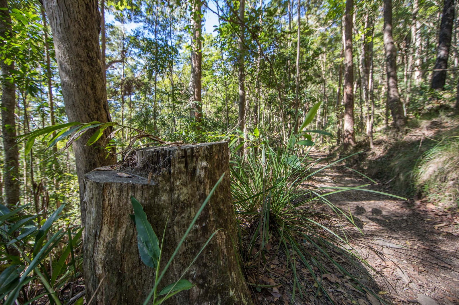 Mount Nebo QLD Accommodation Broome