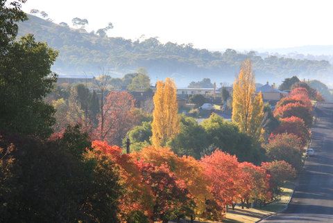 Walcha - Accommodation Broome 1