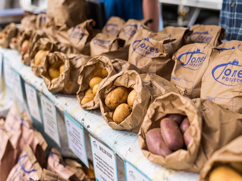 Warragul Farmers Market - Accommodation Broome 2