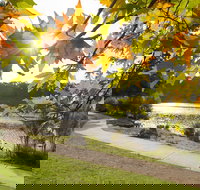 Wentworth Falls Lake - Accommodation Broome