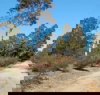Werakata National Park - Accommodation Broome