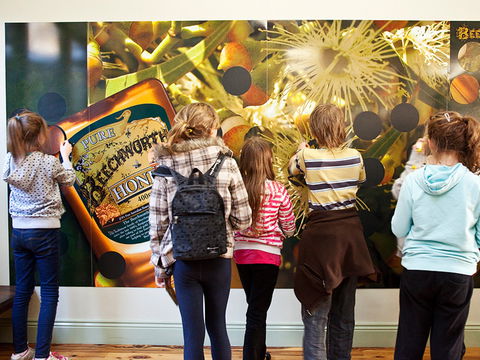 Beechworth Honey Shop - Accommodation Broome 2