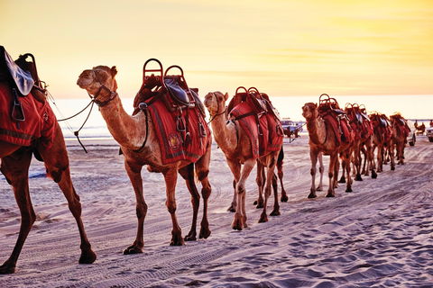 Broome And The Kimberley Coast - Accommodation Broome 0