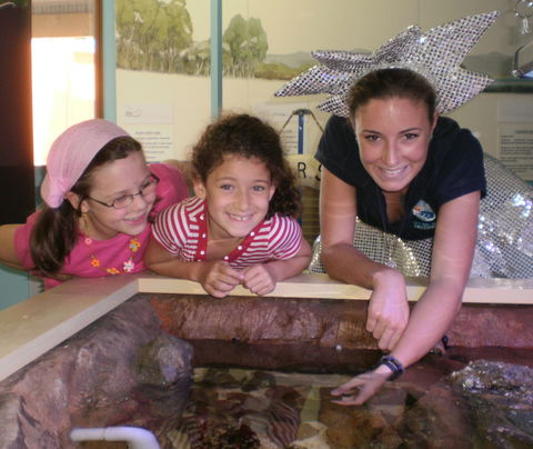 Central Coast Marine Discovery Centre - Accommodation Broome 0