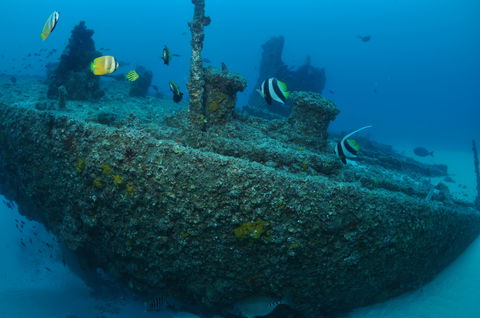Curtin Artificial Reef Dive Site - Accommodation Broome 1