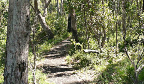 Euglah Rock Walking Track - Accommodation Broome 0