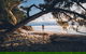 Fitzroy Island - thumb 0