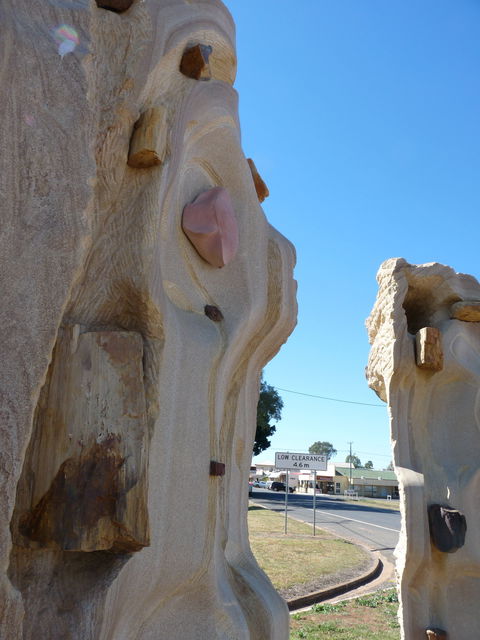 Fossilised Forrest Sculptures - Accommodation Broome 2