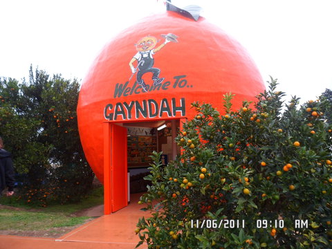 Gayndah's Big Orange - Accommodation Broome 2