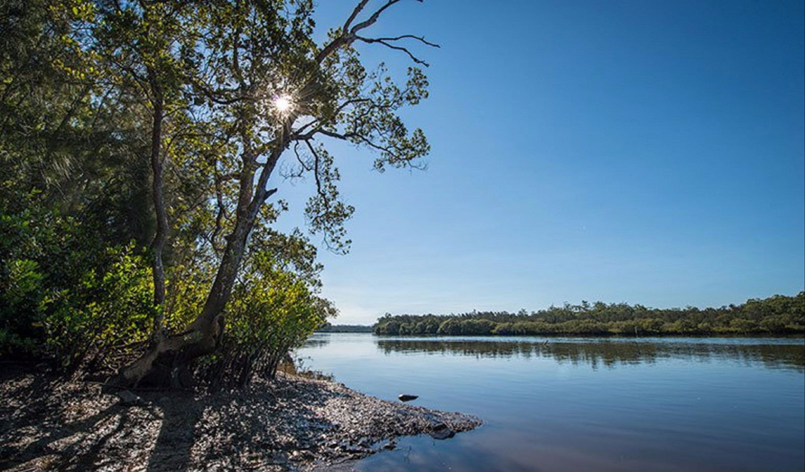 Karuah NSW Accommodation Broome
