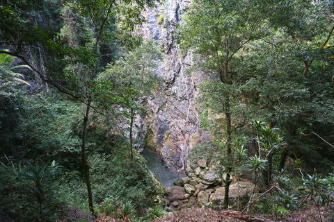 Kondalilla Falls Circuit, Kondalilla National Park - Accommodation Broome 0
