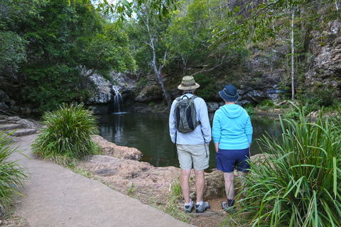 Kondalilla Falls Circuit, Kondalilla National Park - Accommodation Broome 1
