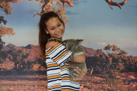 Kuranda Koala Gardens - Accommodation Broome 0