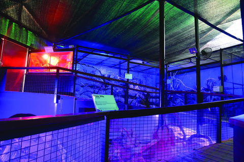 Kuranda Koala Gardens - Accommodation Broome 2