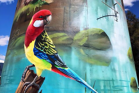 Lockhart Water Tower Mural - Accommodation Broome 1