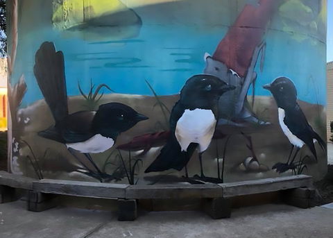 Lockhart Water Tower Mural - Accommodation Broome 2