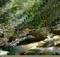 Maleny - Accommodation Broome